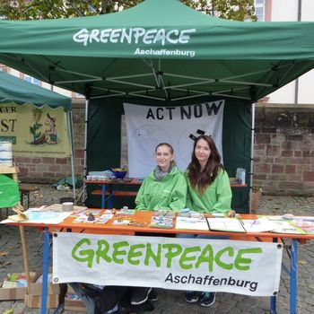 Greenpeace e.V. (2019)