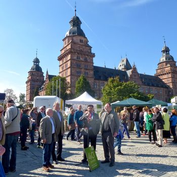 Jubiläum 40 Jahre Kreisgruppe: Sebastian Schönauer, Hubert Weiger, Klaus Herzog und Gerd Radl bei der Eröffnung des Ökomarkts 2013