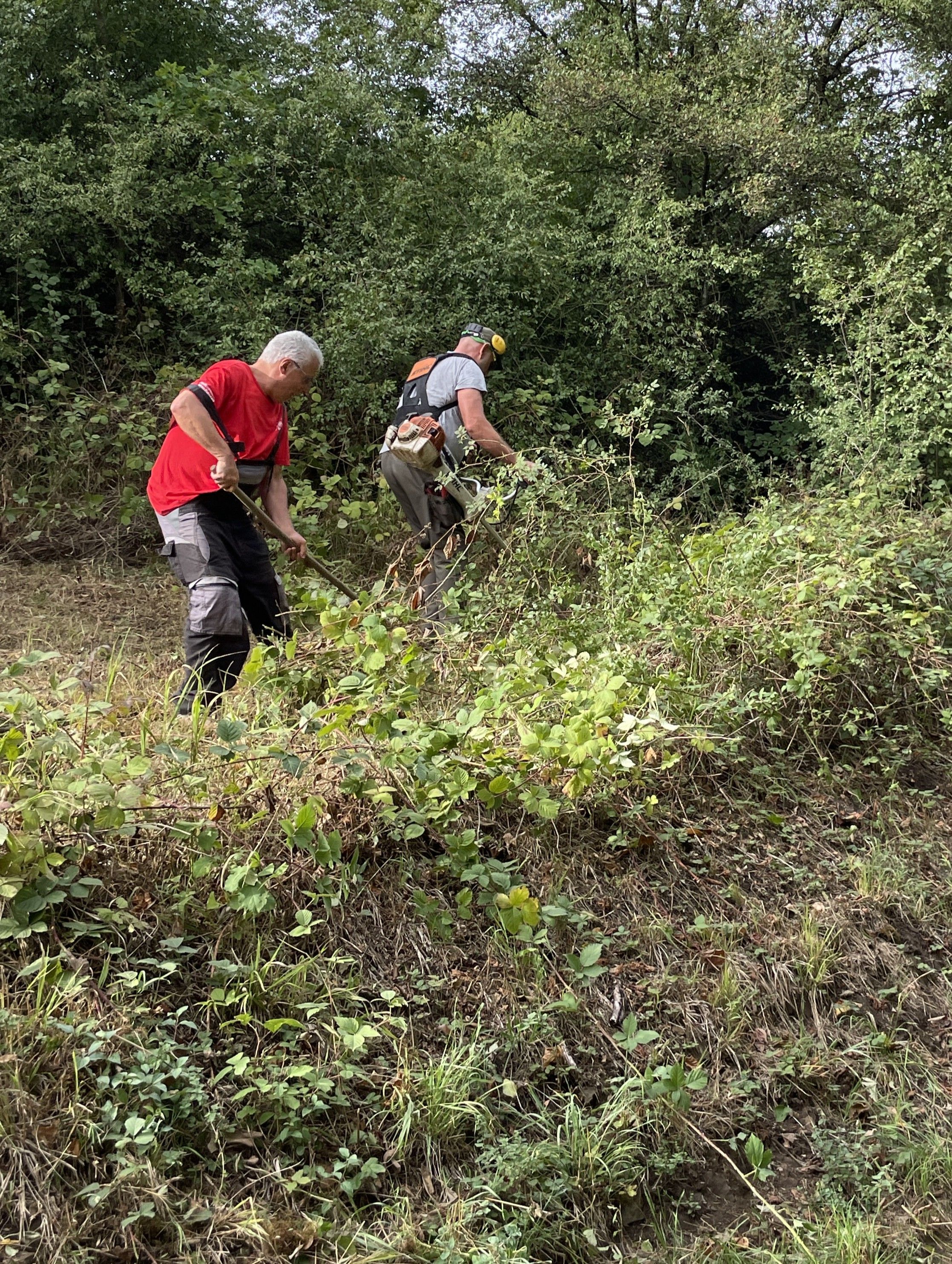 Landschaftspflege in Sommerkahl, Foto: R. Radl