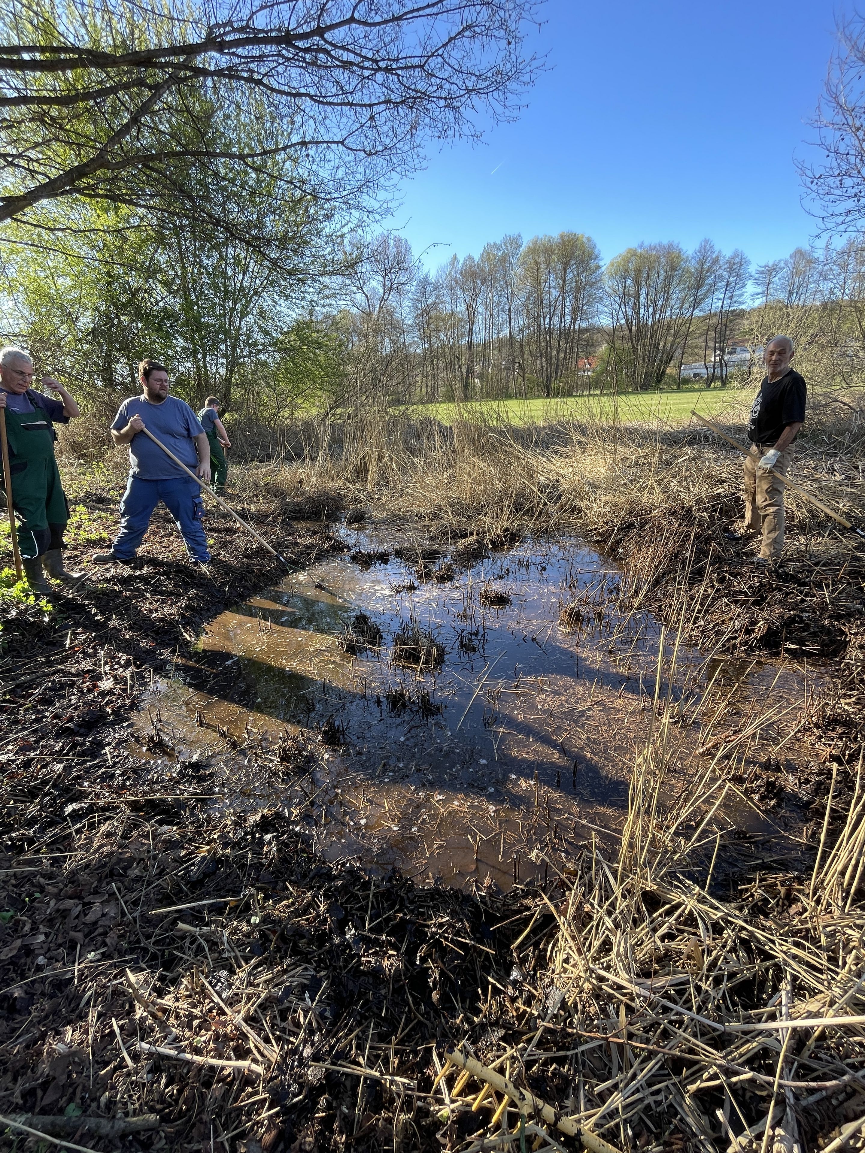 Schilf umgibt den zweiten Teich, Foto: R.Radl