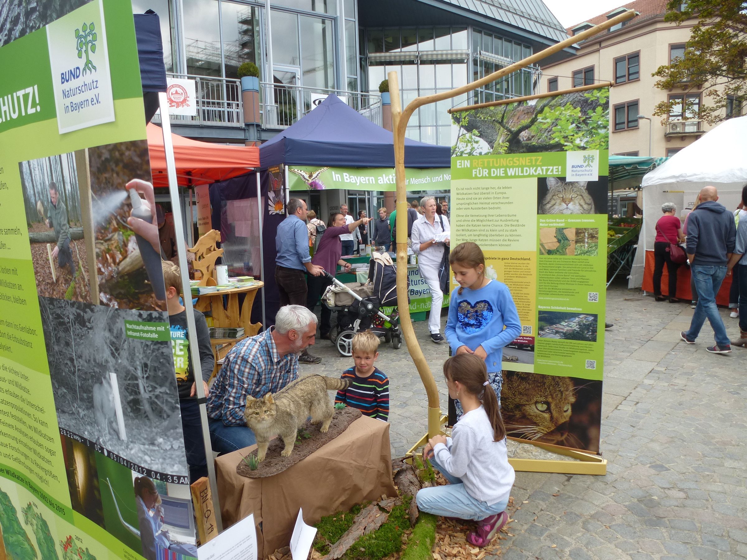 Wildkatzenausstellung (2017)