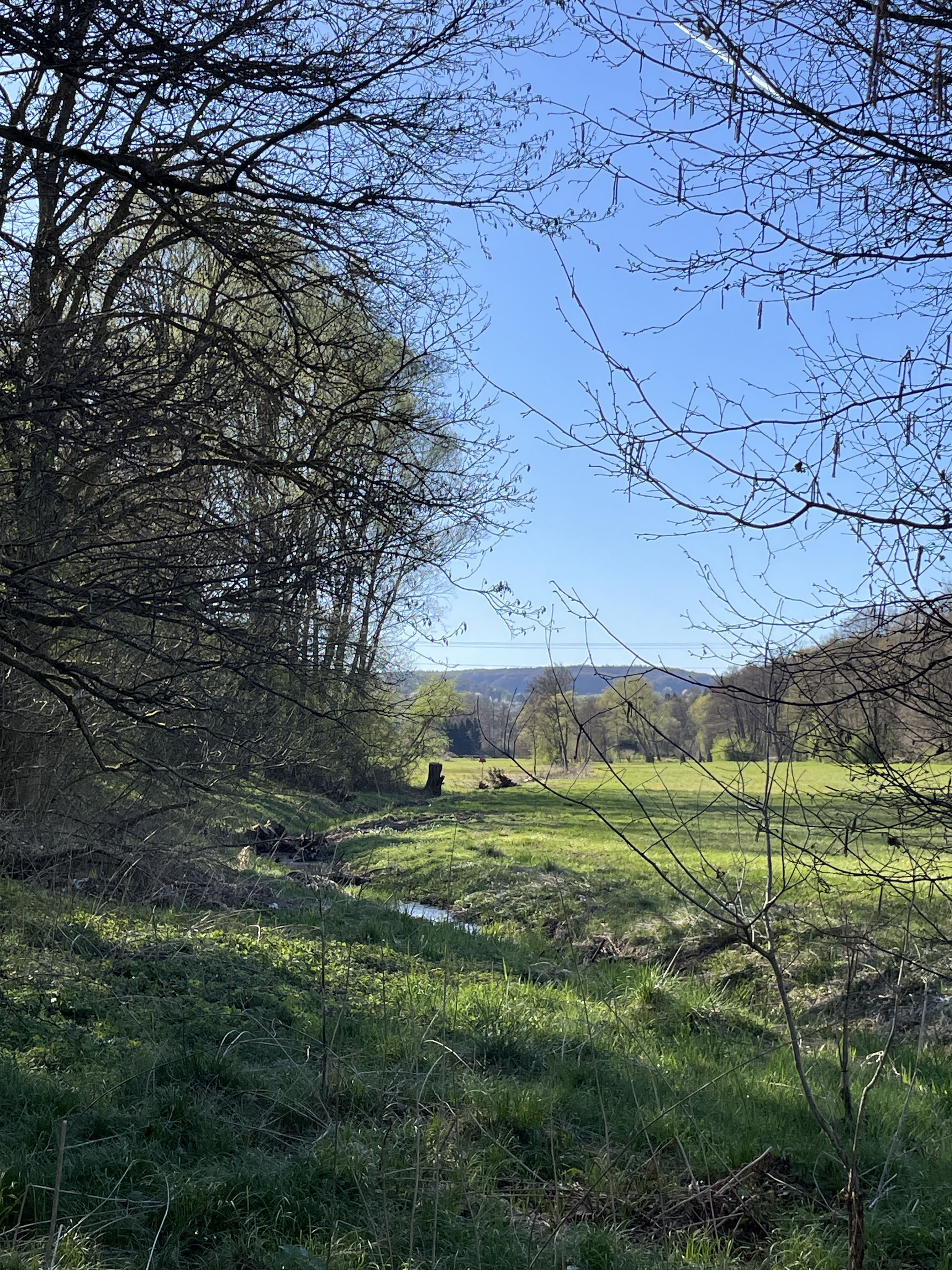 Kahlaue zwischen Schimborn und Kaltenberg, Foto: R.Radl