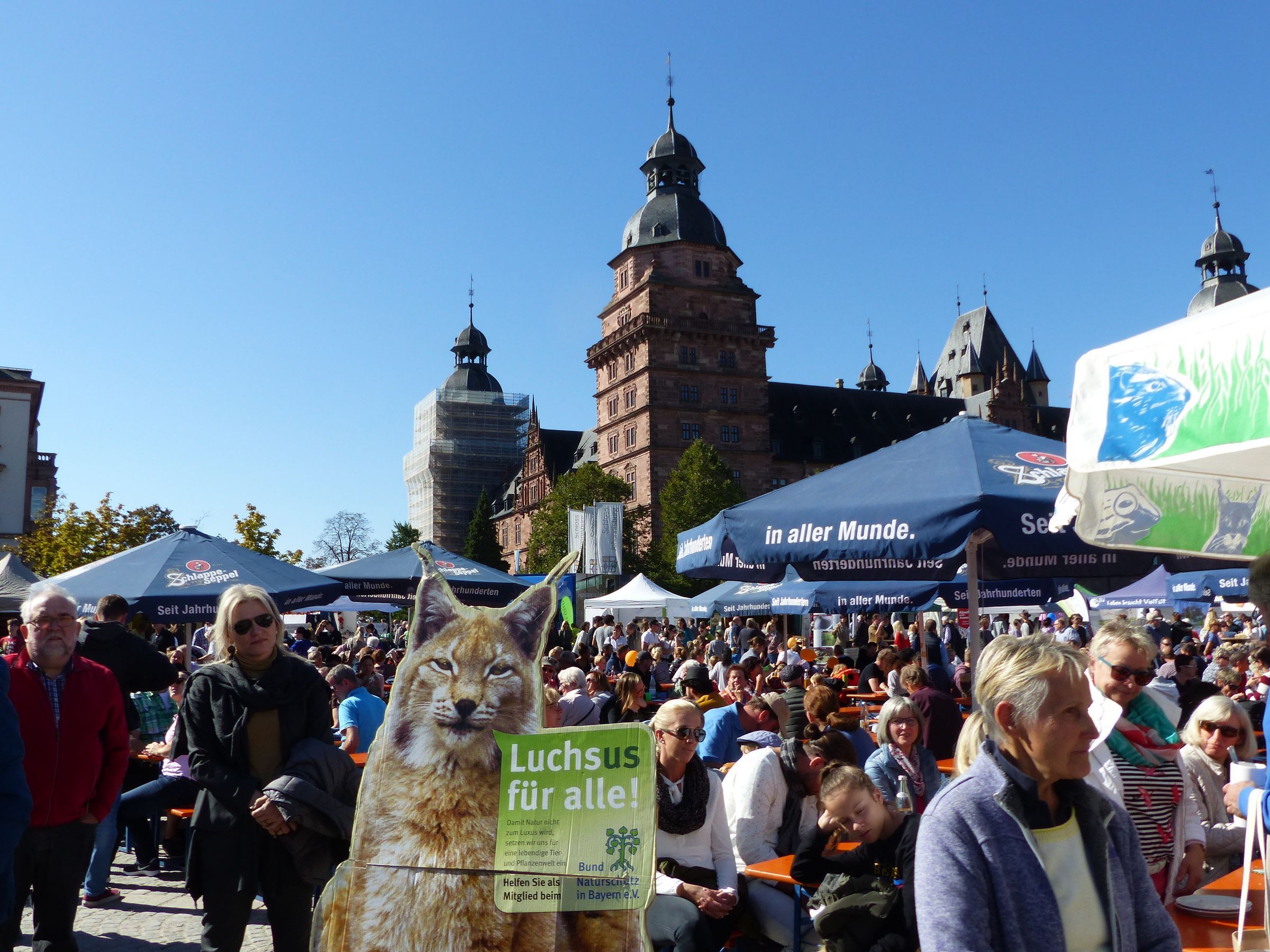 Bestes Wetter und "full house" (2018)