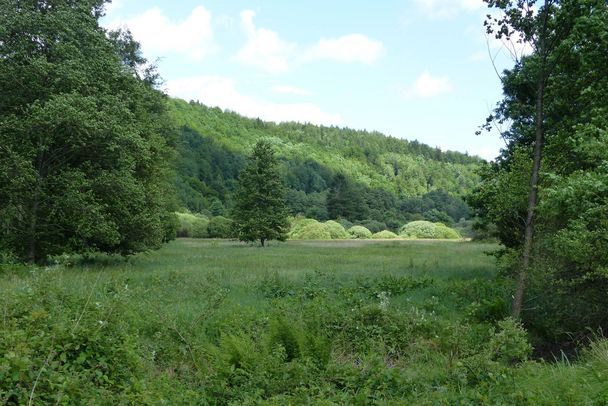 Hafenlohrtal