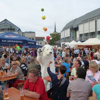 Ein Eisbär zu Besuch (2014)