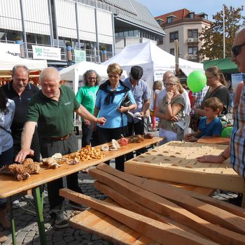 Förster Rudi Schlosser auf dem Ökomarkt 2014