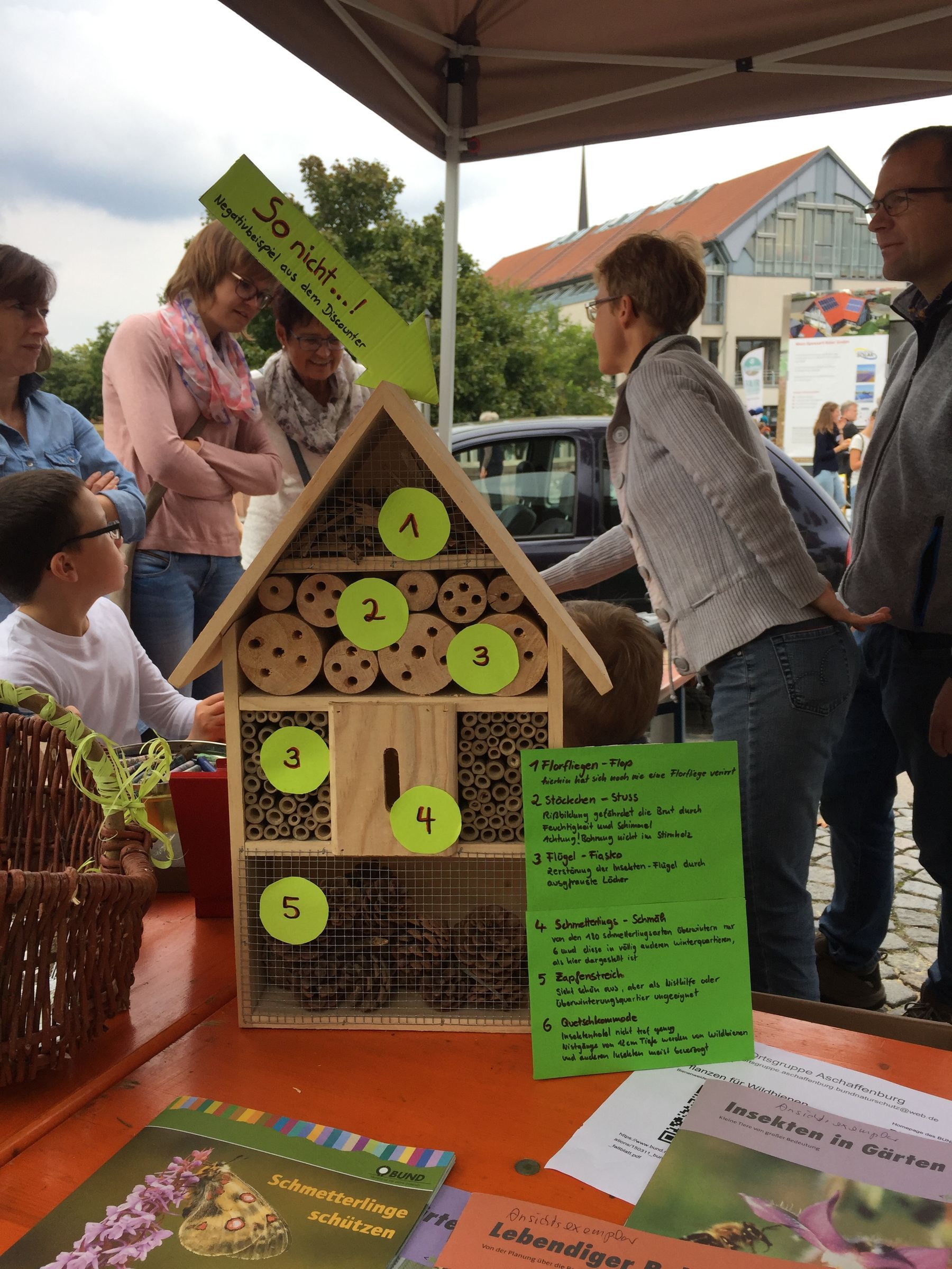 Wie baut man ein gutes Insektenhotel? (2017)