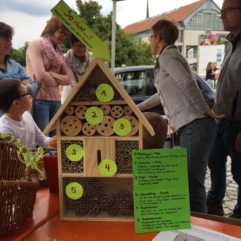 Wie baut man ein gutes Insektenhotel? (2017)