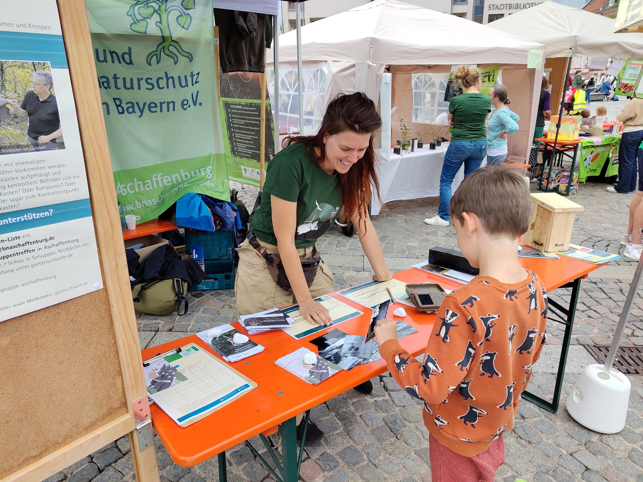 Infos zum Gartenschläfer bei der OG Aschaffenburg, Ökomarkt 20.09.2026, Foto: Y.Hartmann